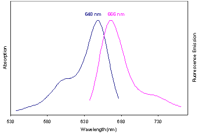 Absorbance and Fluorescence Emission