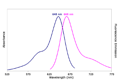 Absorbance and Fluorescence Emission